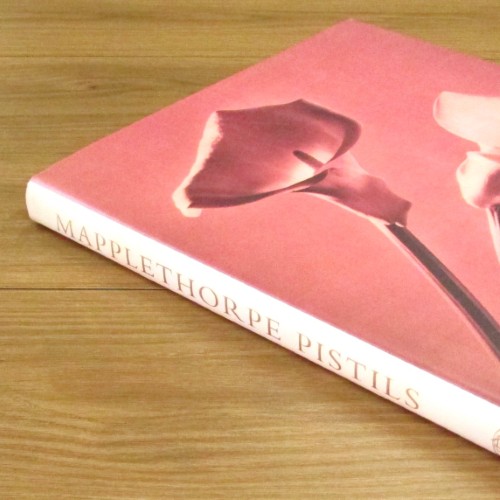 ロバート・メイプルソープ 写真集 MAPPLETHORPE PISTILS Robert Mapplethorpe: Pistils ロバート・メイプルソープ - 古本