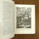 MA2493