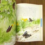 むし 玉川こども・きょういく百科（新装版）