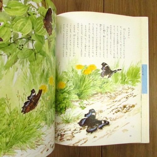 むし 玉川こども・きょういく百科（新装版）